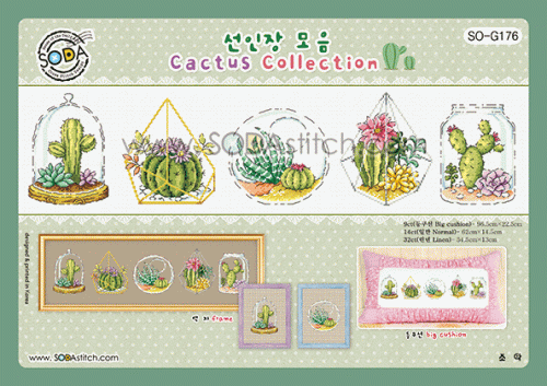 (image for) Cactus Collection